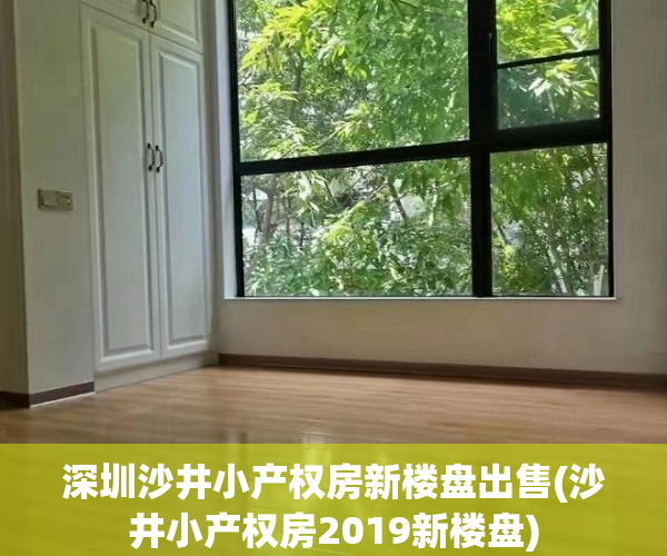 深圳沙井小产权房新楼盘出售(沙井小产权房2019新楼盘)
