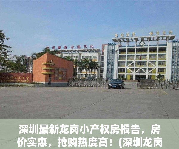 深圳最新龙岗小产权房报告，房价实惠，抢购热度高！(深圳龙岗小产权房价多少)