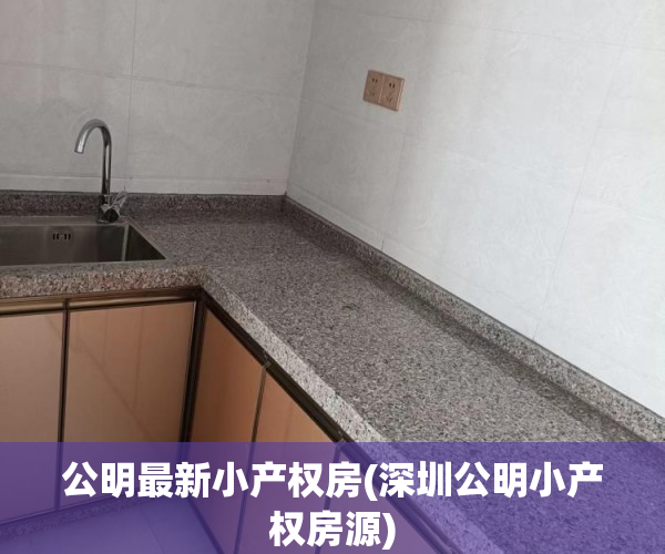 公明最新小产权房(深圳公明小产权房源)