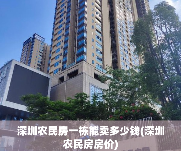 深圳农民房一栋能卖多少钱(深圳农民房房价)