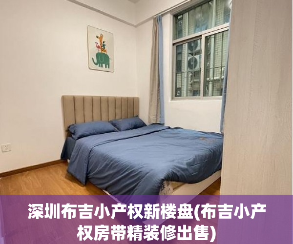 深圳布吉小产权新楼盘(布吉小产权房带精装修出售)