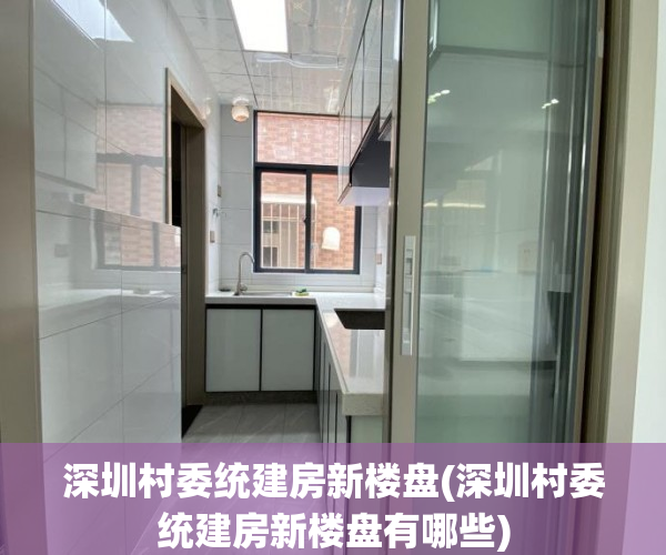 深圳村委统建房新楼盘(深圳村委统建房新楼盘有哪些)