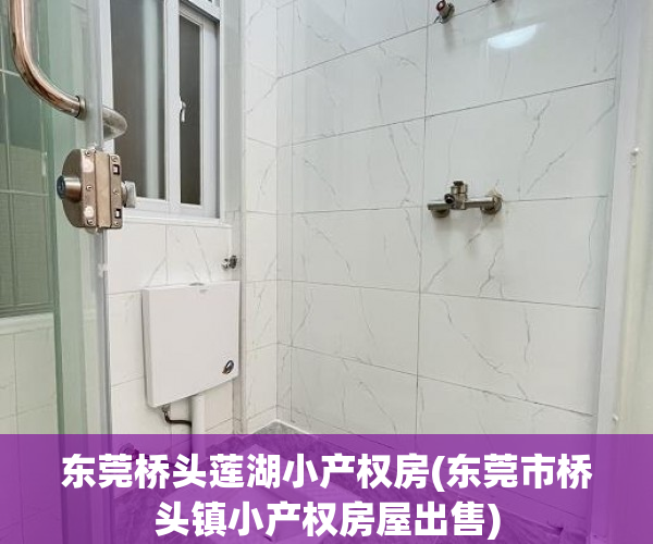 东莞桥头莲湖小产权房(东莞市桥头镇小产权房屋出售) 东莞桥头莲湖小产权房(东莞市桥头镇小产权房屋出售)