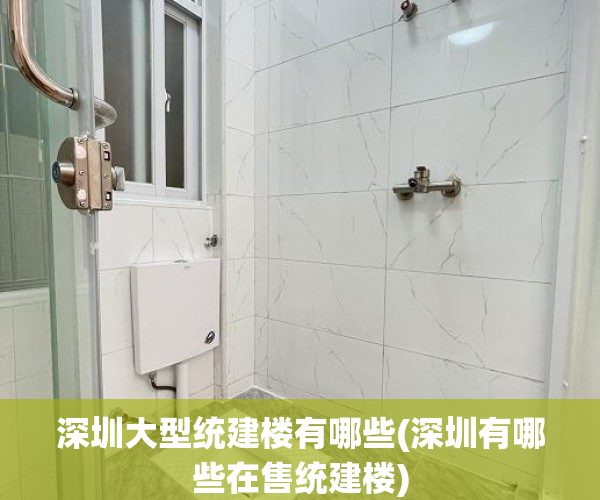 深圳大型统建楼有哪些(深圳有哪些在售统建楼) 深圳大型统建楼有哪些(深圳有哪些在售统建楼)