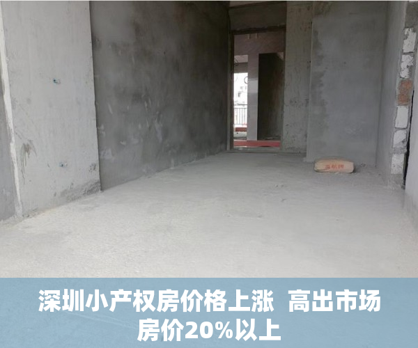 深圳小产权房价格上涨  高出市场房价20%以上