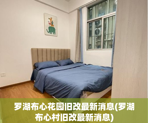 罗湖布心花园旧改最新消息(罗湖布心村旧改最新消息)