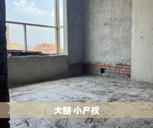 大朗 小产权 大朗 小产权
