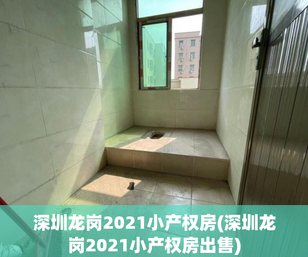 深圳龙岗2021小产权房(深圳龙岗2021小产权房出售)