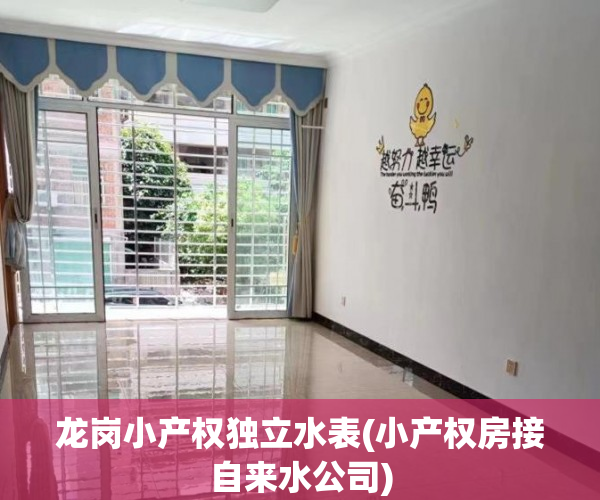 龙岗小产权独立水表(小产权房接自来水公司) 龙岗小产权独立水表(小产权房接自来水公司)
