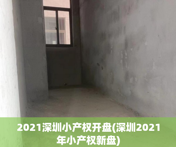 2021深圳小产权开盘(深圳2021年小产权新盘)