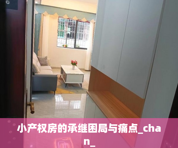 小产权房的承继困局与痛点_chan_