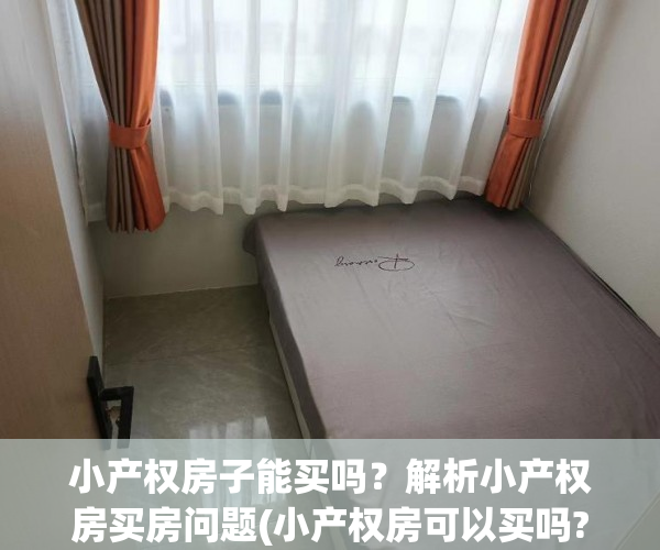 小产权房子能买吗？解析小产权房买房问题(小产权房可以买吗?有什么风险?)