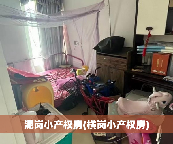 泥岗小产权房(横岗小产权房) 泥岗小产权房(横岗小产权房)