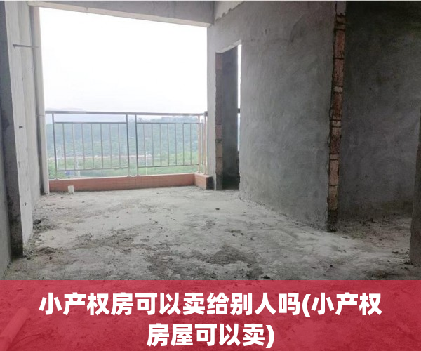 小产权房可以卖给别人吗(小产权房屋可以卖) 小产权房可以卖给别人吗(小产权房屋可以卖)