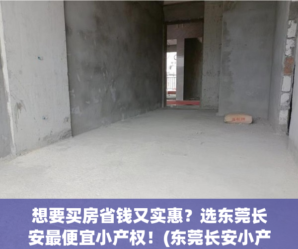 想要买房省钱又实惠？选东莞长安最便宜小产权！(东莞长安小产权房价新楼盘)