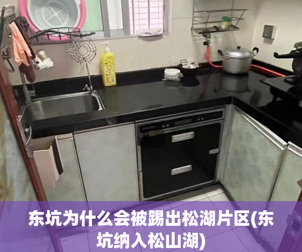 东坑为什么会被踢出松湖片区(东坑纳入松山湖) 东坑为什么会被踢出松湖片区(东坑纳入松山湖)