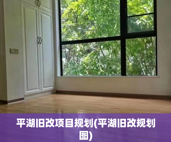平湖旧改项目规划(平湖旧改规划图)