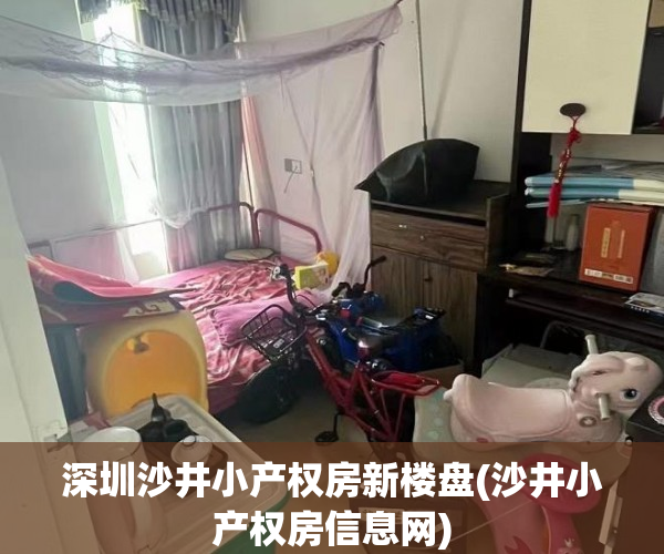 深圳沙井小产权房新楼盘(沙井小产权房信息网)