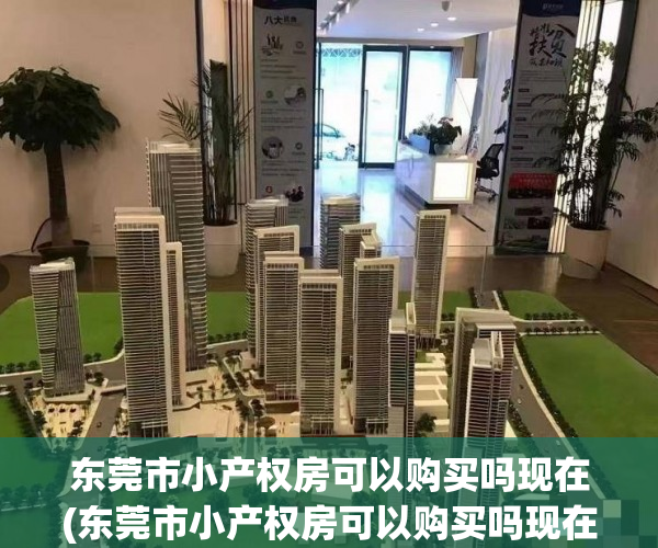 东莞市小产权房可以购买吗现在(东莞市小产权房可以购买吗现在能买吗)