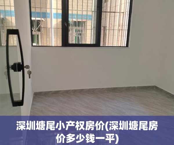 深圳塘尾小产权房价(深圳塘尾房价多少钱一平)
