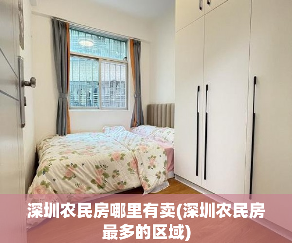 深圳农民房哪里有卖(深圳农民房最多的区域)