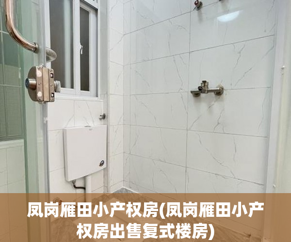 凤岗雁田小产权房(凤岗雁田小产权房出售复式楼房) 凤岗雁田小产权房(凤岗雁田小产权房出售复式楼房)