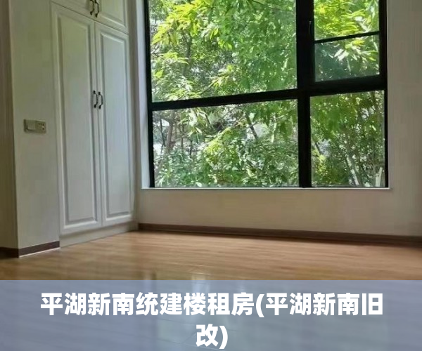 平湖新南统建楼租房(平湖新南旧改)
