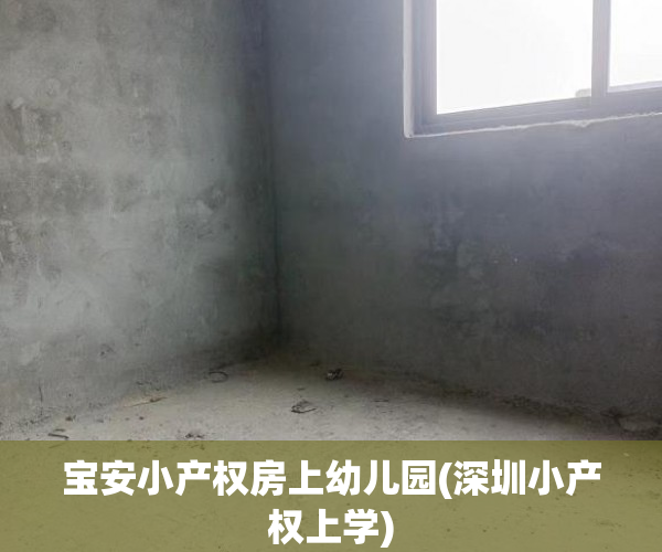 宝安小产权房上幼儿园(深圳小产权上学) 宝安小产权房上幼儿园(深圳小产权上学)