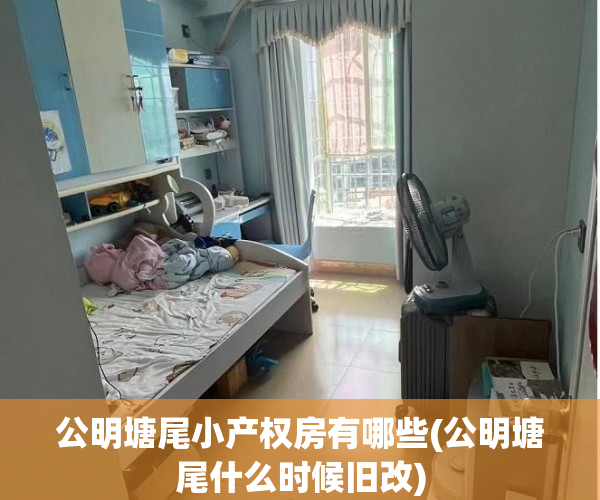 公明塘尾小产权房有哪些(公明塘尾什么时候旧改)