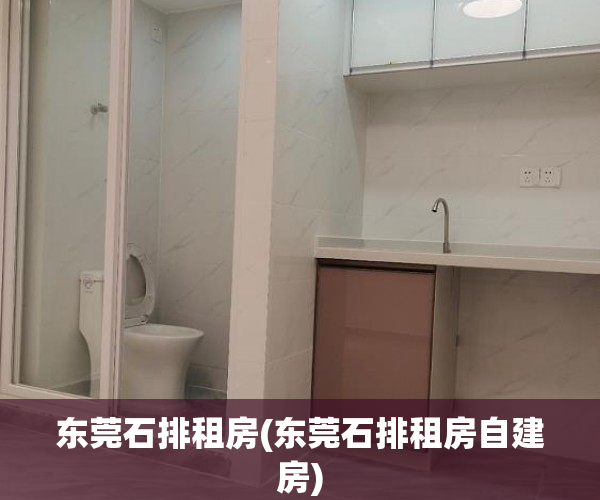 东莞石排租房(东莞石排租房自建房)
