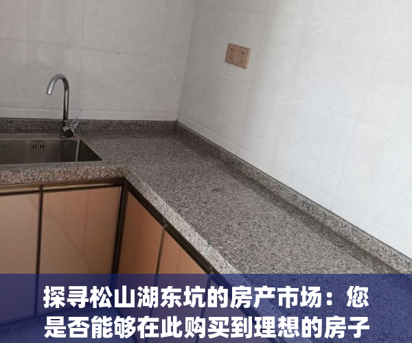 探寻松山湖东坑的房产市场：您是否能够在此购买到理想的房子？(东坑松湖湾)