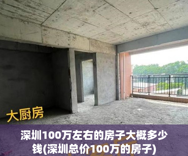深圳100万左右的房子大概多少钱(深圳总价100万的房子)