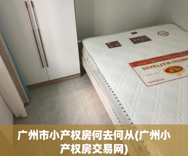 广州市小产权房何去何从(广州小产权房交易网)