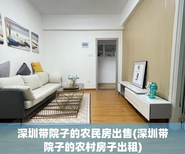 深圳带院子的农民房出售(深圳带院子的农村房子出租)