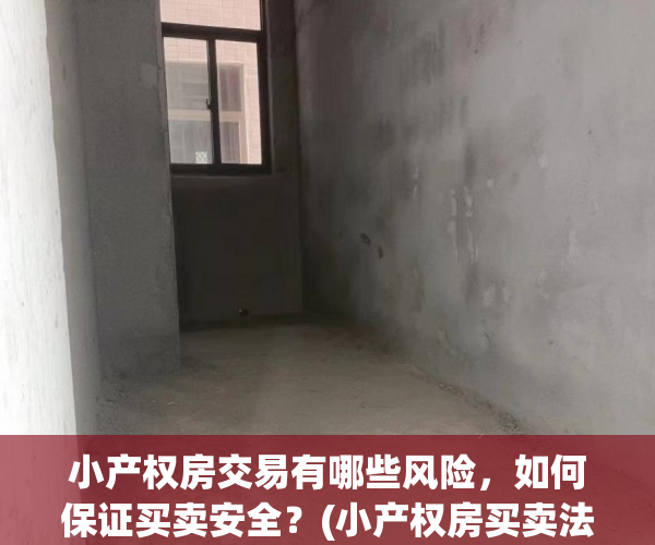 小产权房交易有哪些风险，如何保证买卖安全？(小产权房买卖法律风险)