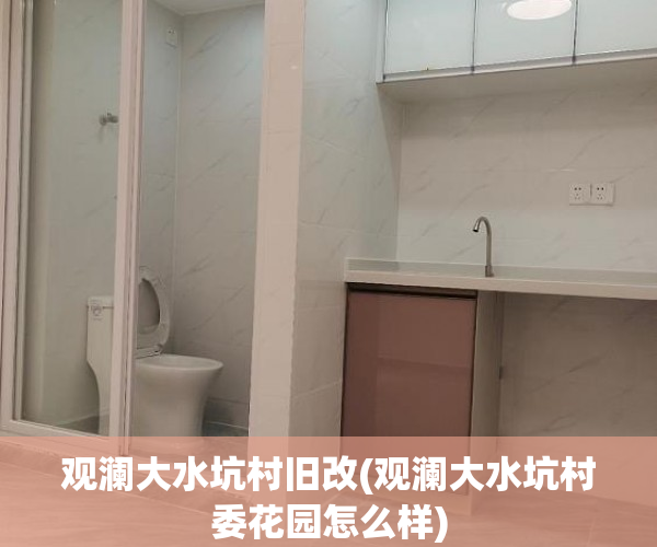 观澜大水坑村旧改(观澜大水坑村委花园怎么样)