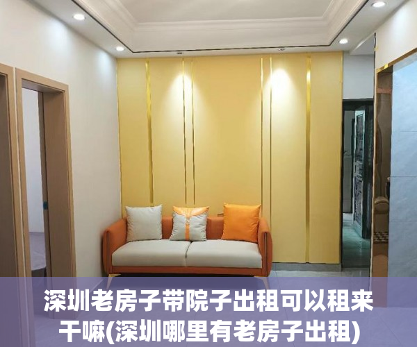 深圳老房子带院子出租可以租来干嘛(深圳哪里有老房子出租)