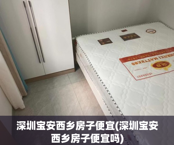 深圳宝安西乡房子便宜(深圳宝安西乡房子便宜吗)
