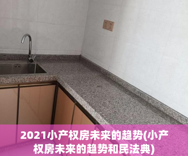 2021小产权房未来的趋势(小产权房未来的趋势和民法典)
