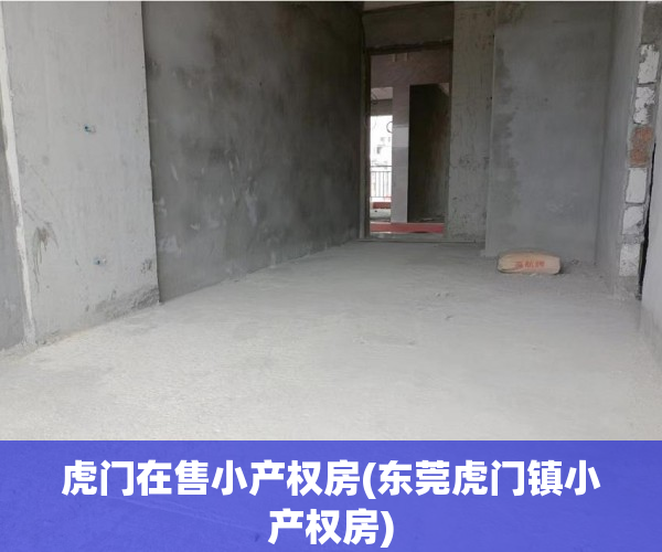 虎门在售小产权房(东莞虎门镇小产权房)