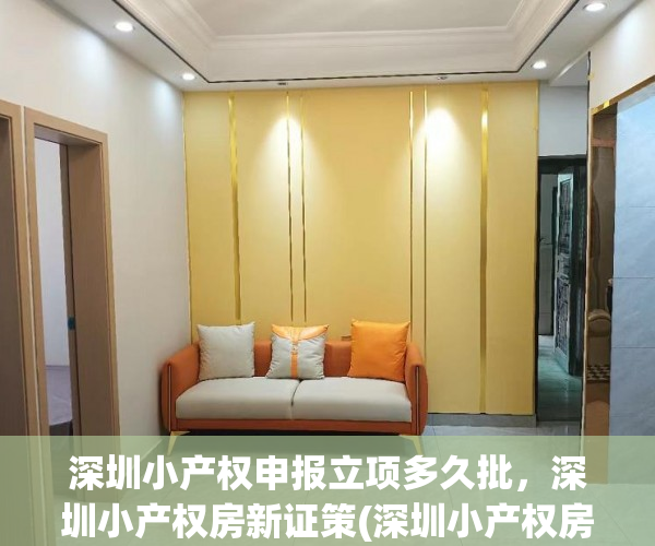 深圳小产权申报立项多久批，深圳小产权房新证策(深圳小产权房指导意见)