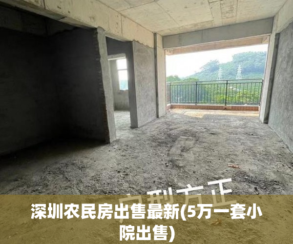 深圳农民房出售最新(5万一套小院出售) 深圳农民房出售最新(5万一套小院出售)
