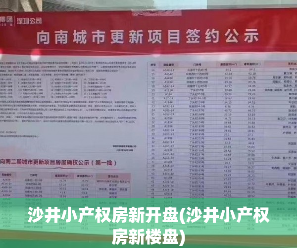 沙井小产权房新开盘(沙井小产权房新楼盘)