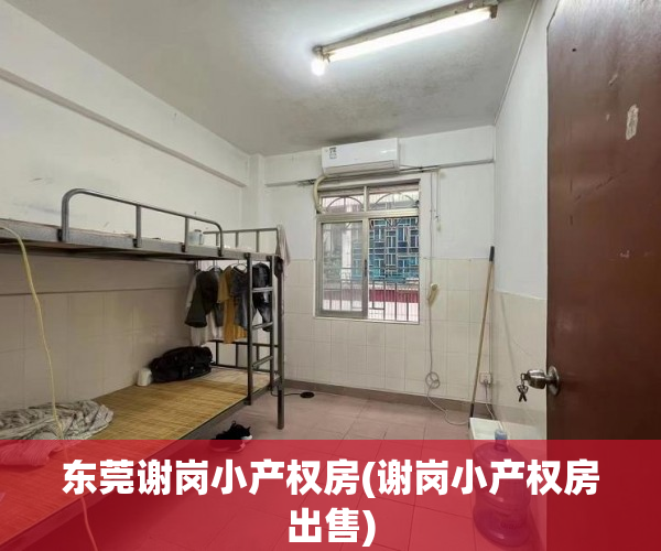 东莞谢岗小产权房(谢岗小产权房出售) 东莞谢岗小产权房(谢岗小产权房出售)