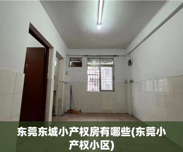 东莞东城小产权房有哪些(东莞小产权小区) 东莞东城小产权房有哪些(东莞小产权小区)