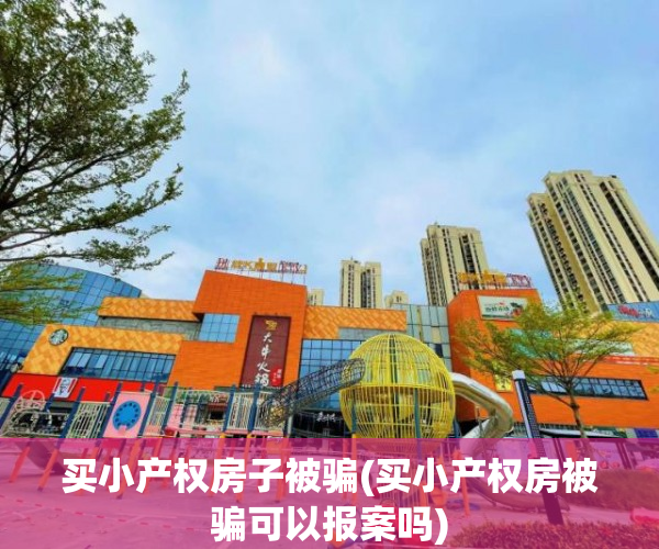 买小产权房子被骗(买小产权房被骗可以报案吗)