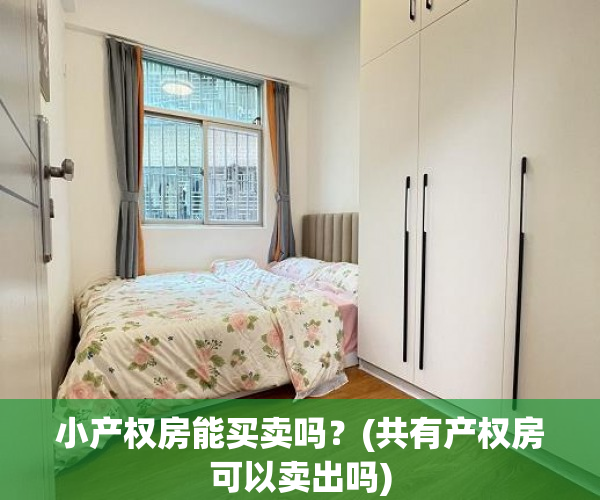 小产权房能买卖吗?(共有产权房可以卖出吗) 小产权房能买卖吗?(共有产权房可以卖出吗)