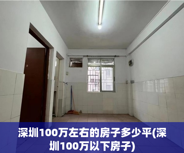 深圳100万左右的房子多少平(深圳100万以下房子)