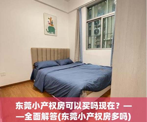 东莞小产权房可以买吗现在？——全面解答(东莞小产权房多吗)