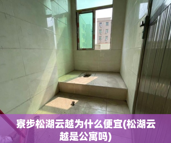 寮步松湖云越为什么便宜(松湖云越是公寓吗) 寮步松湖云越为什么便宜(松湖云越是公寓吗)